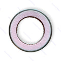 Rear Motor Rotor Grounding Ring